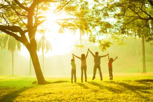 Family therapy can help you feel closer and more connected.